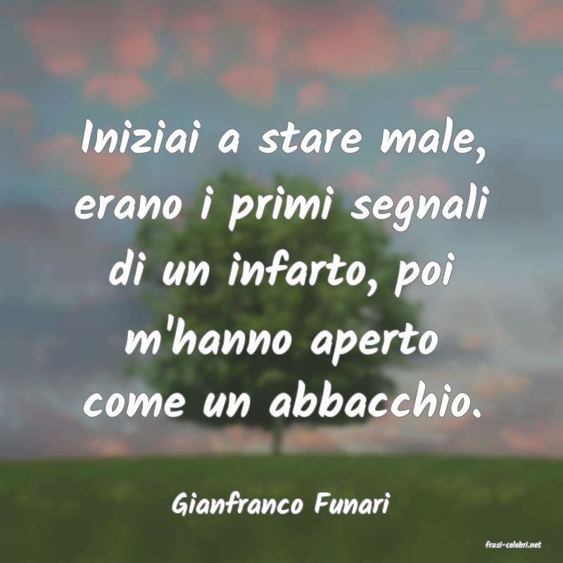 frasi di Gianfranco Funari