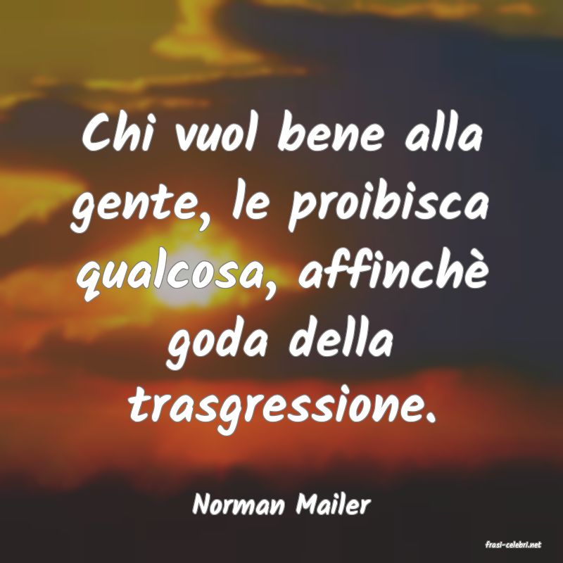 frasi di Norman Mailer