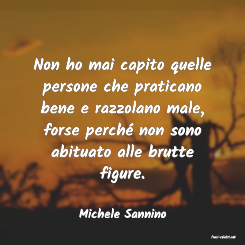 frasi di  Michele Sannino
