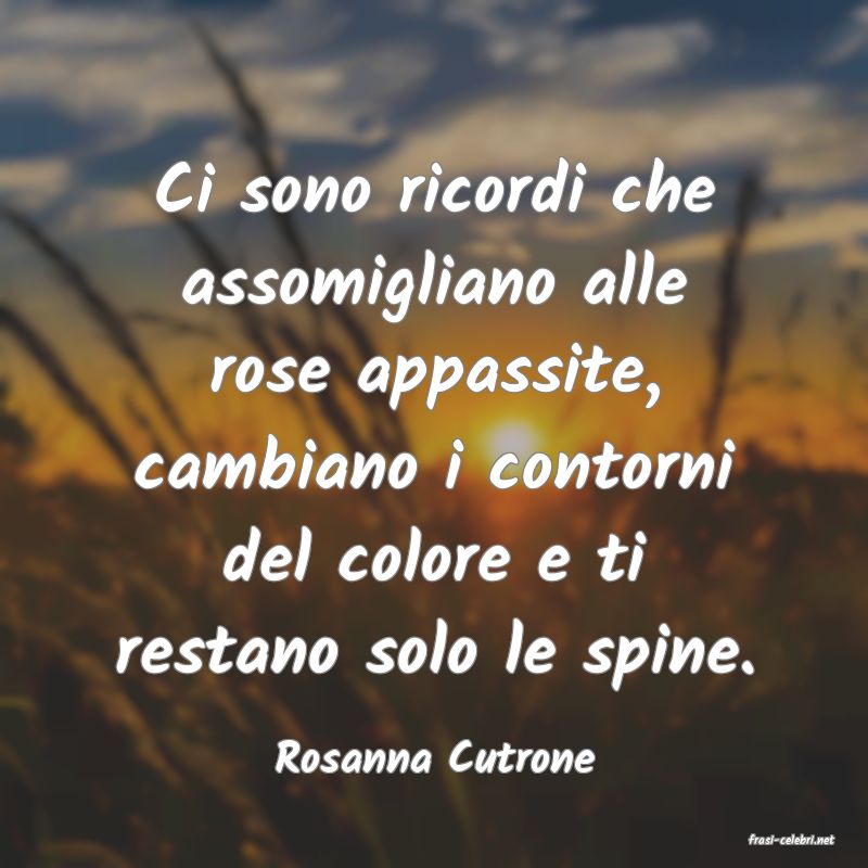 frasi di  Rosanna Cutrone

