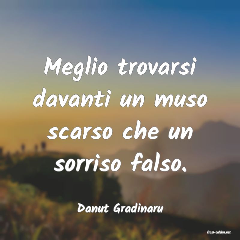 frasi di  Danut Gradinaru
