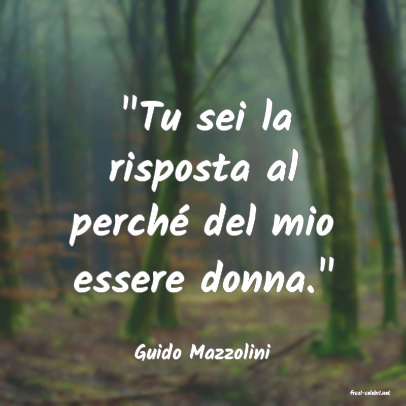 frasi di  Guido Mazzolini
