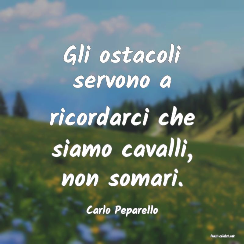 frasi di  Carlo Peparello
