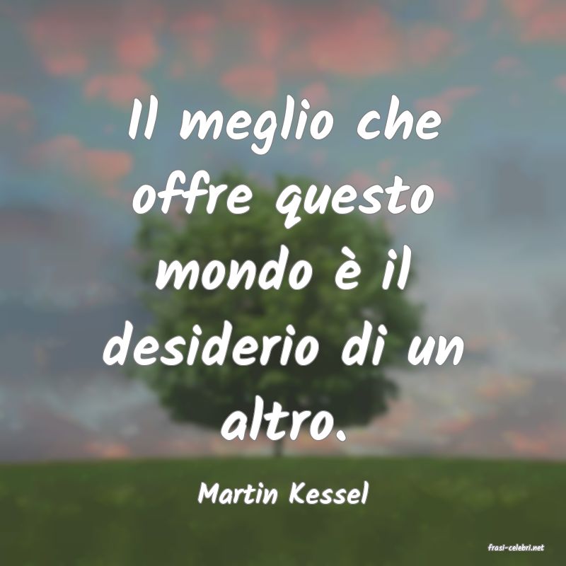 frasi di  Martin Kessel
