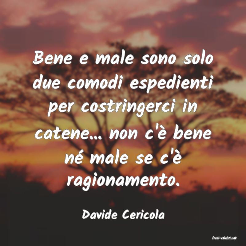 frasi di  Davide Cericola
