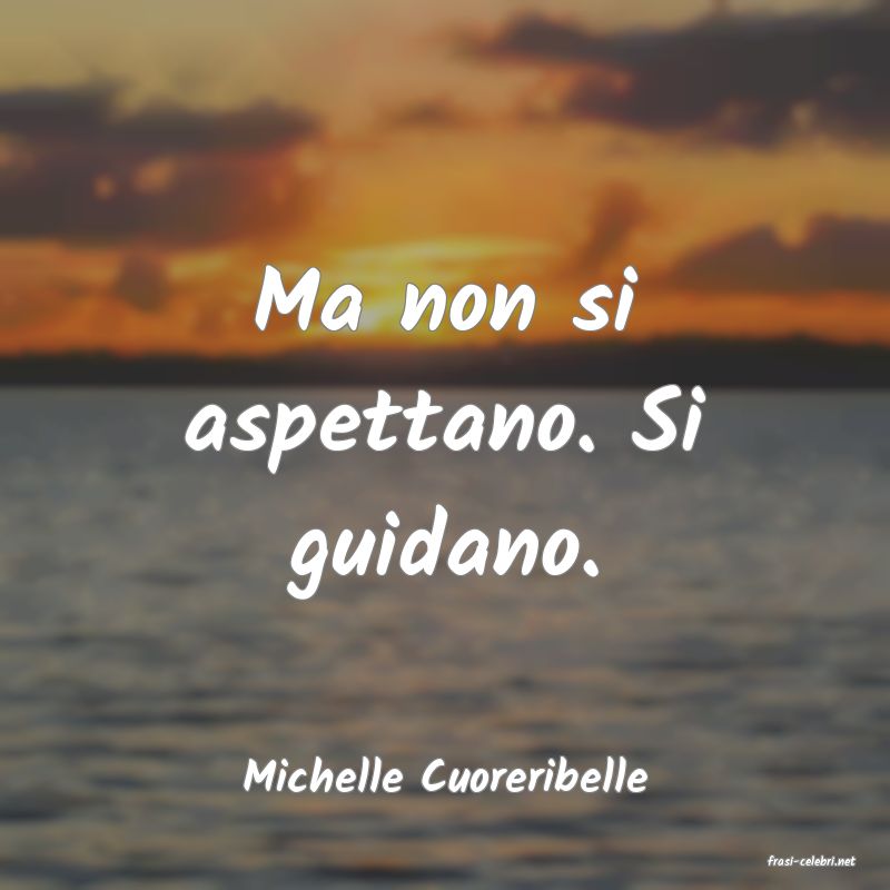frasi di  Michelle Cuoreribelle
