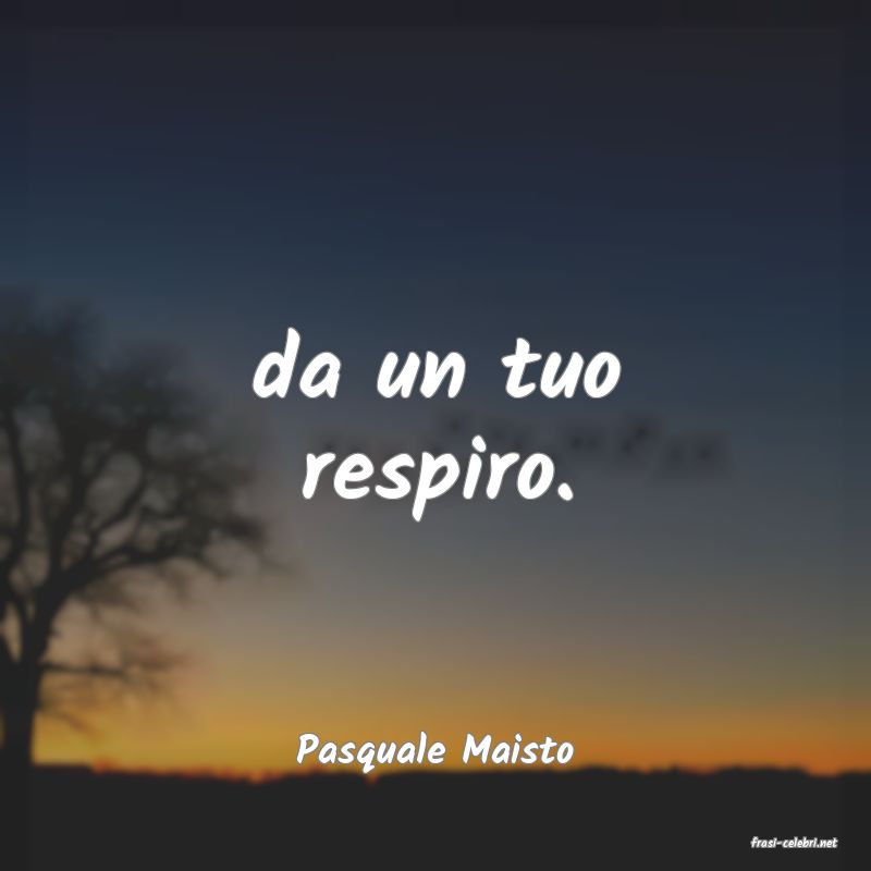 frasi di  Pasquale Maisto
