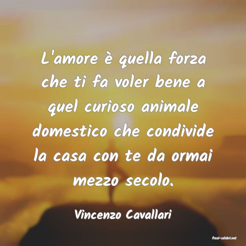 frasi di  Vincenzo Cavallari
