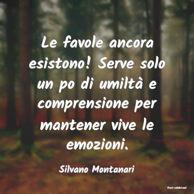 frasi di  Silvano Montanari

