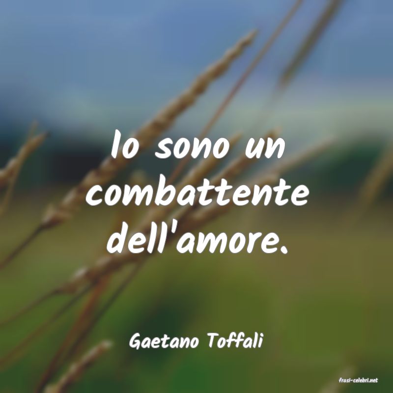 frasi di  Gaetano Toffali
