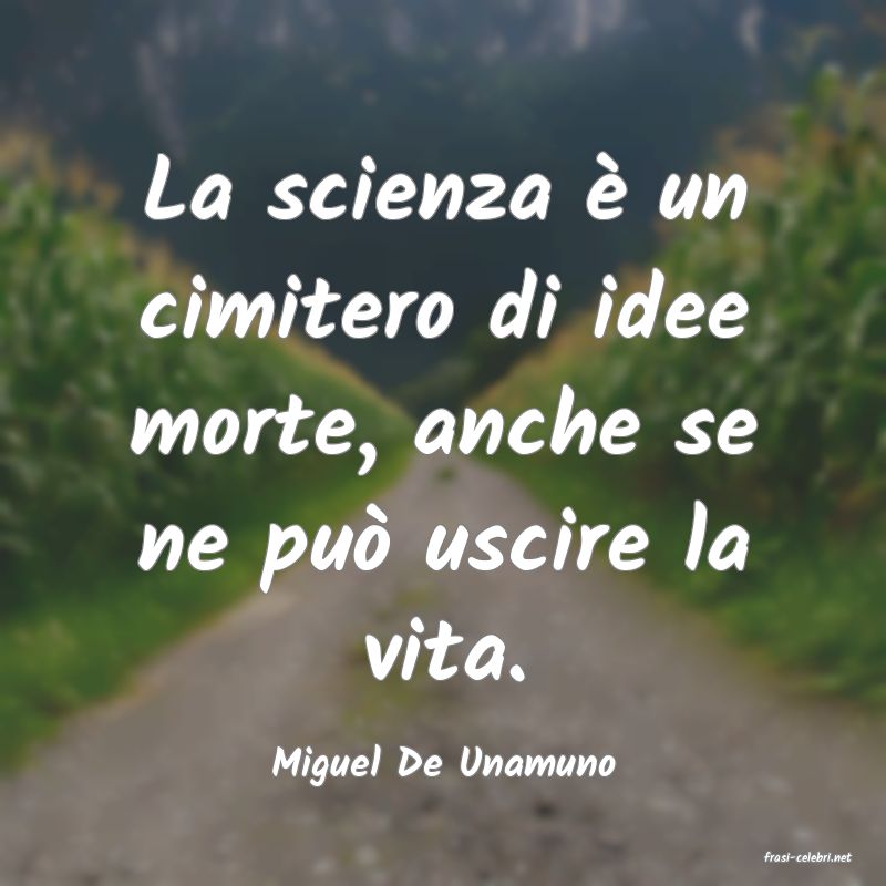 frasi di  Miguel De Unamuno

