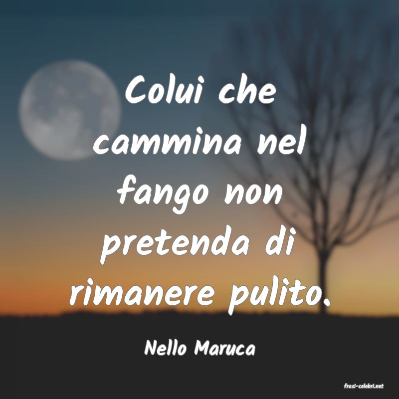 frasi di  Nello Maruca
