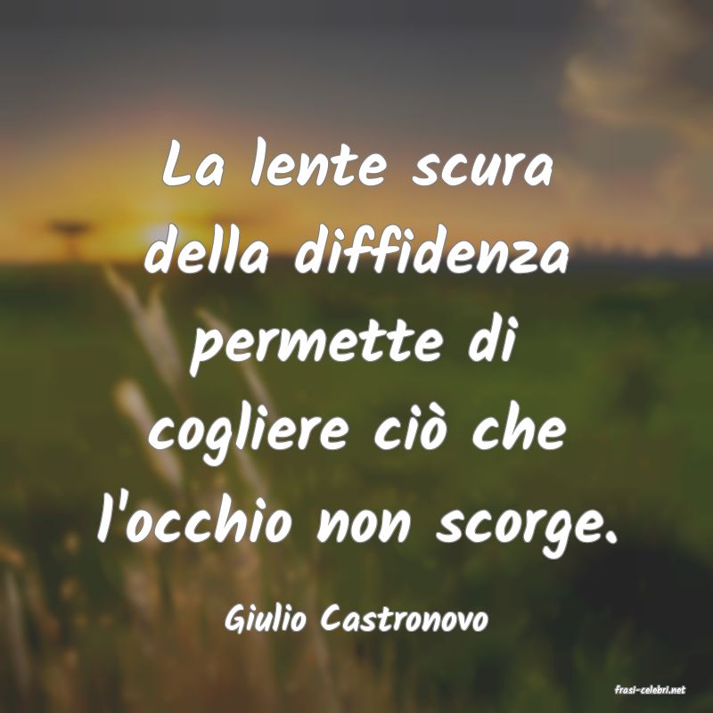 frasi di  Giulio Castronovo
