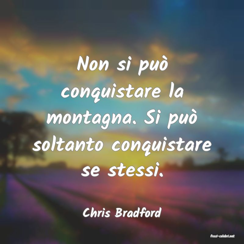 frasi di  Chris Bradford
