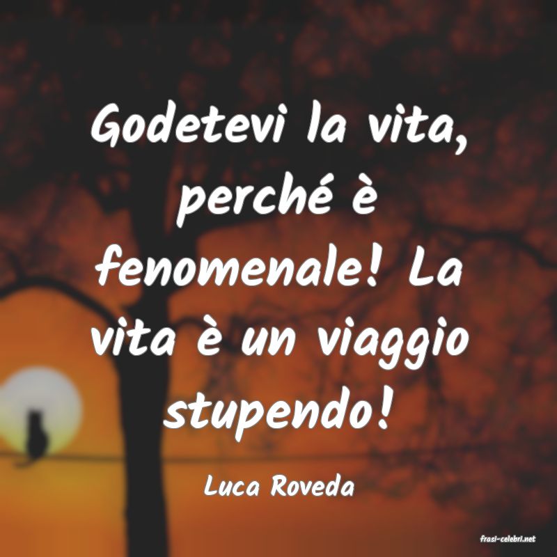 frasi di  Luca Roveda
