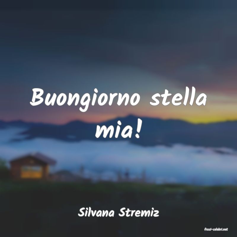 frasi di Silvana Stremiz