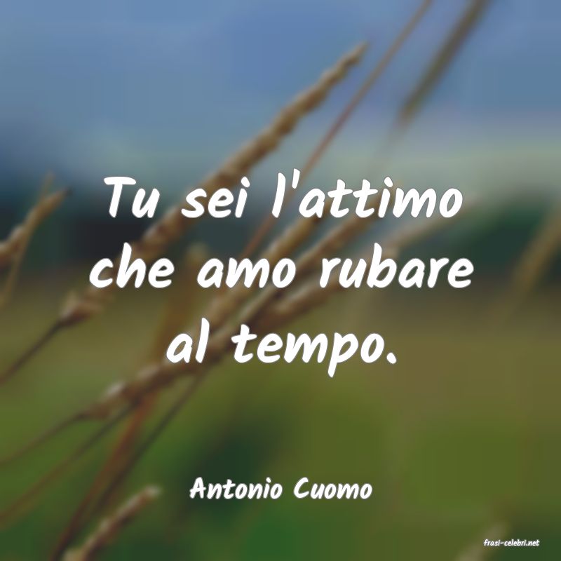 frasi di  Antonio Cuomo
