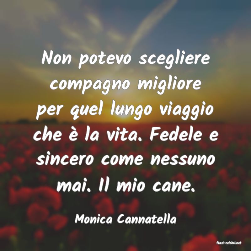 frasi di  Monica Cannatella
