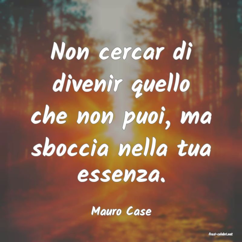 frasi di  Mauro Case
