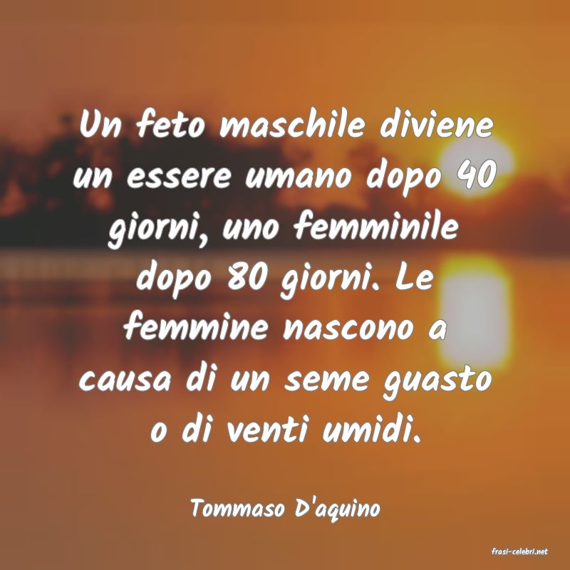 frasi di Tommaso D'aquino