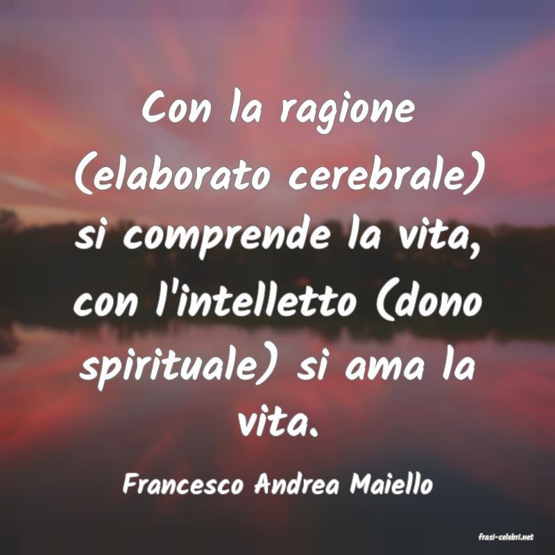 frasi di  Francesco Andrea Maiello
