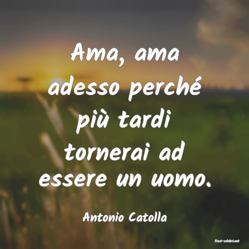 frasi di  Antonio Catolla
