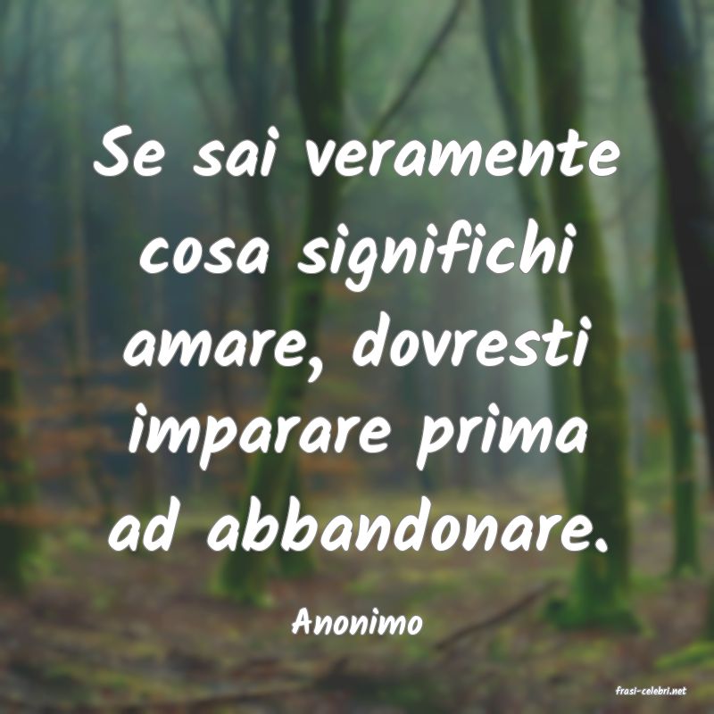 frasi di  Anonimo

