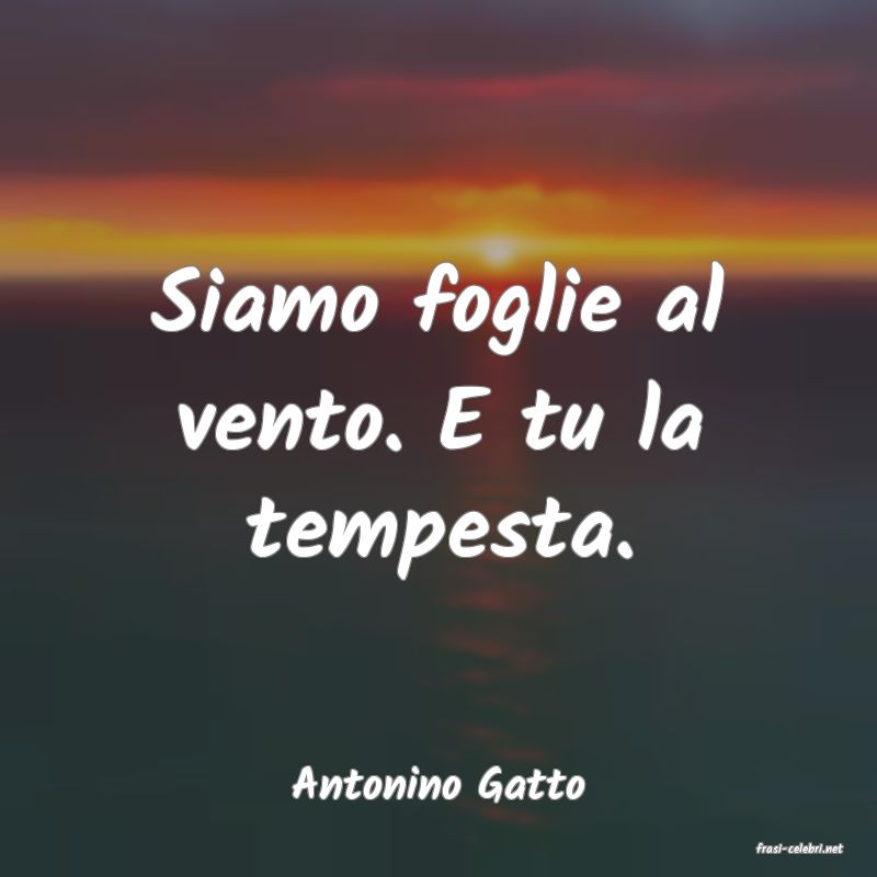 frasi di Antonino Gatto