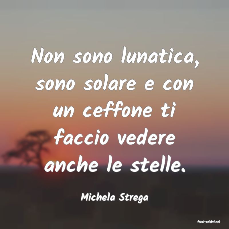 frasi di  Michela Strega
