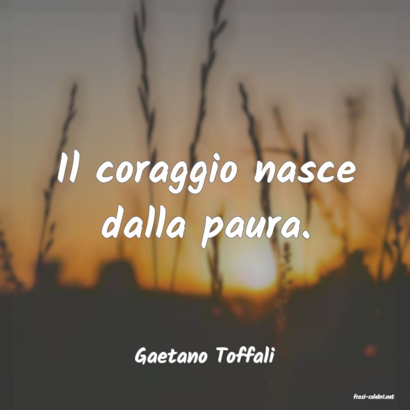frasi di  Gaetano Toffali
