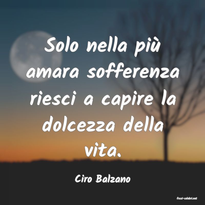 frasi di  Ciro Balzano
