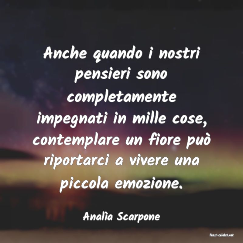 frasi di Anala Scarpone