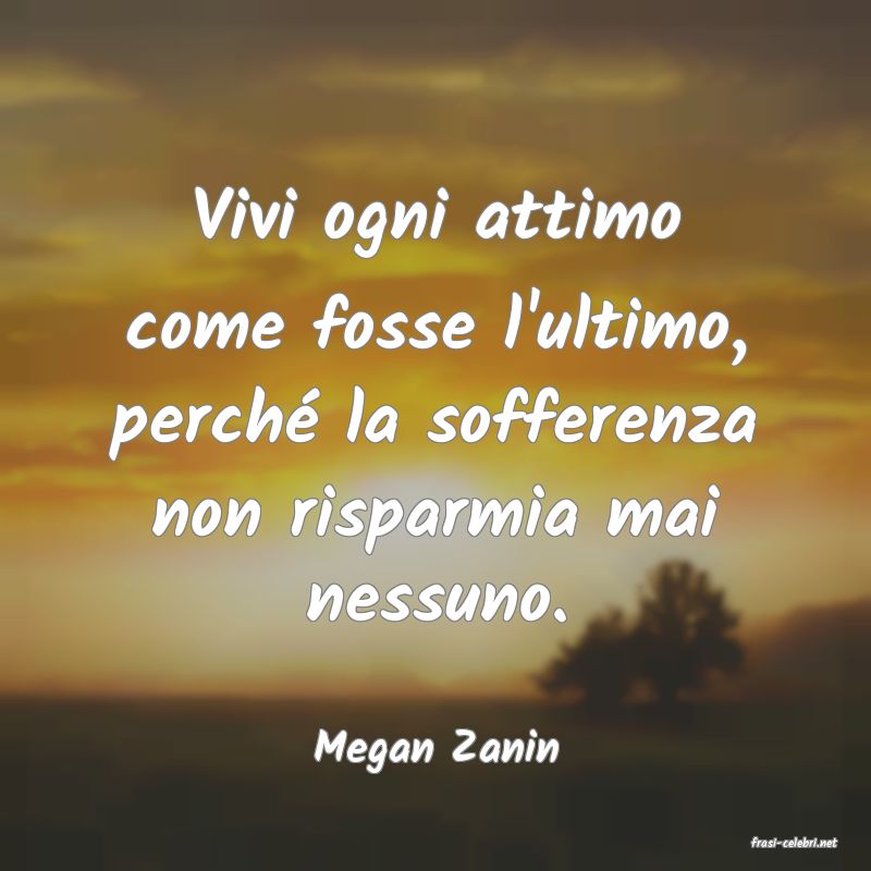 frasi di  Megan Zanin

