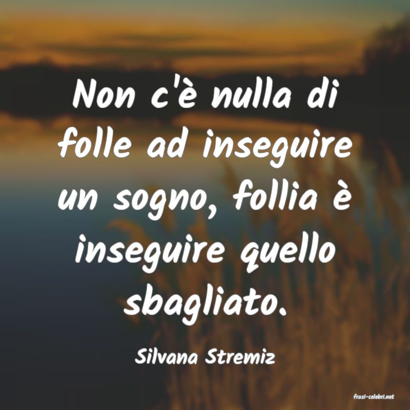 frasi di  Silvana Stremiz
