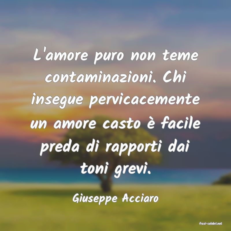 frasi di  Giuseppe Acciaro
