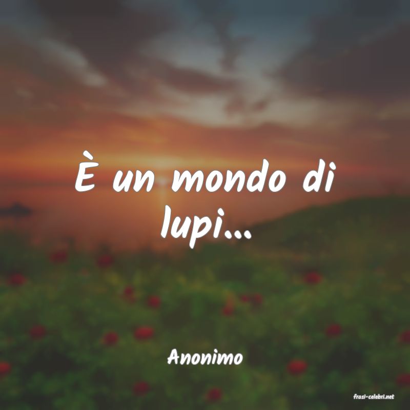 frasi di  Anonimo
