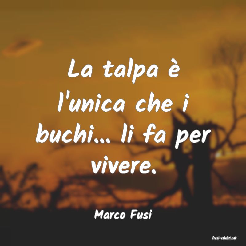 frasi di  Marco Fusi
