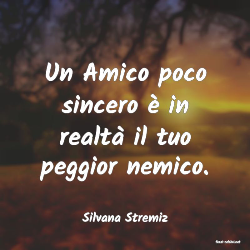 frasi di  Silvana Stremiz
