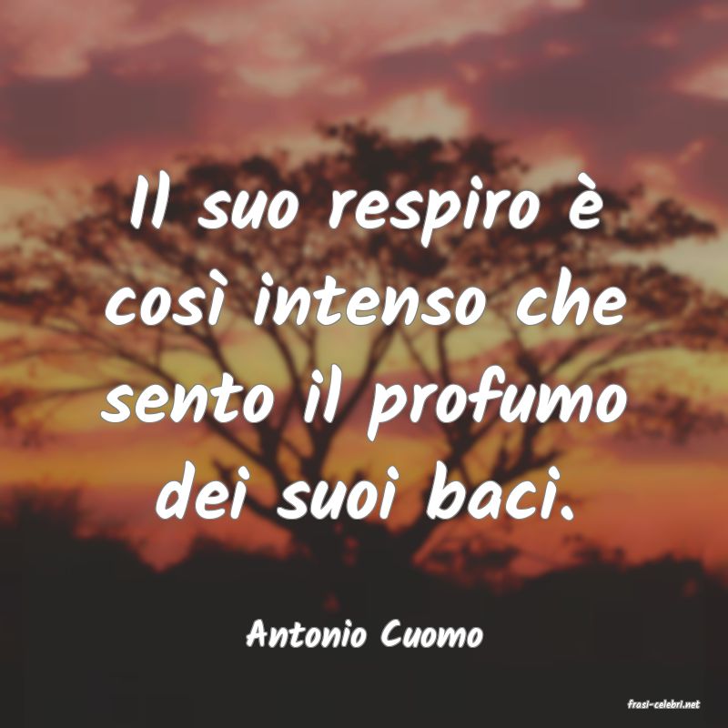 frasi di  Antonio Cuomo
