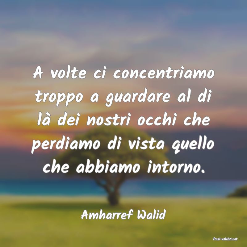 frasi di  Amharref Walid
