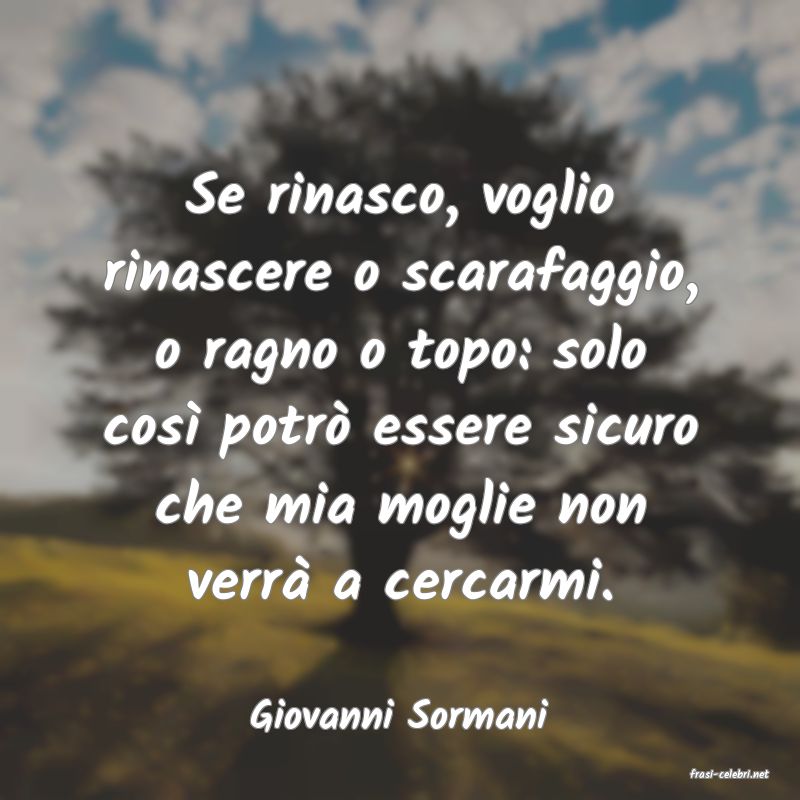 frasi di Giovanni Sormani