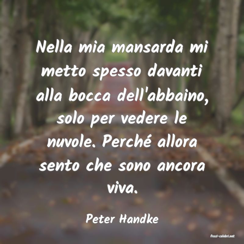 frasi di Peter Handke