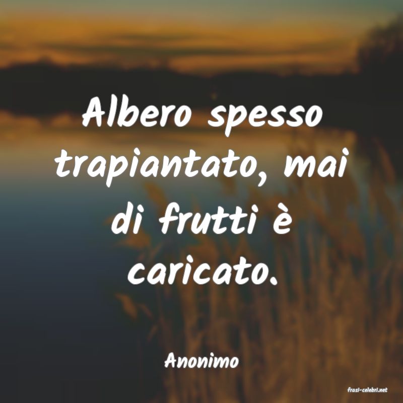 frasi di Anonimo