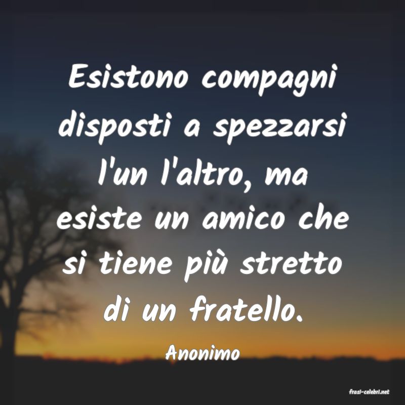 frasi di  Anonimo
