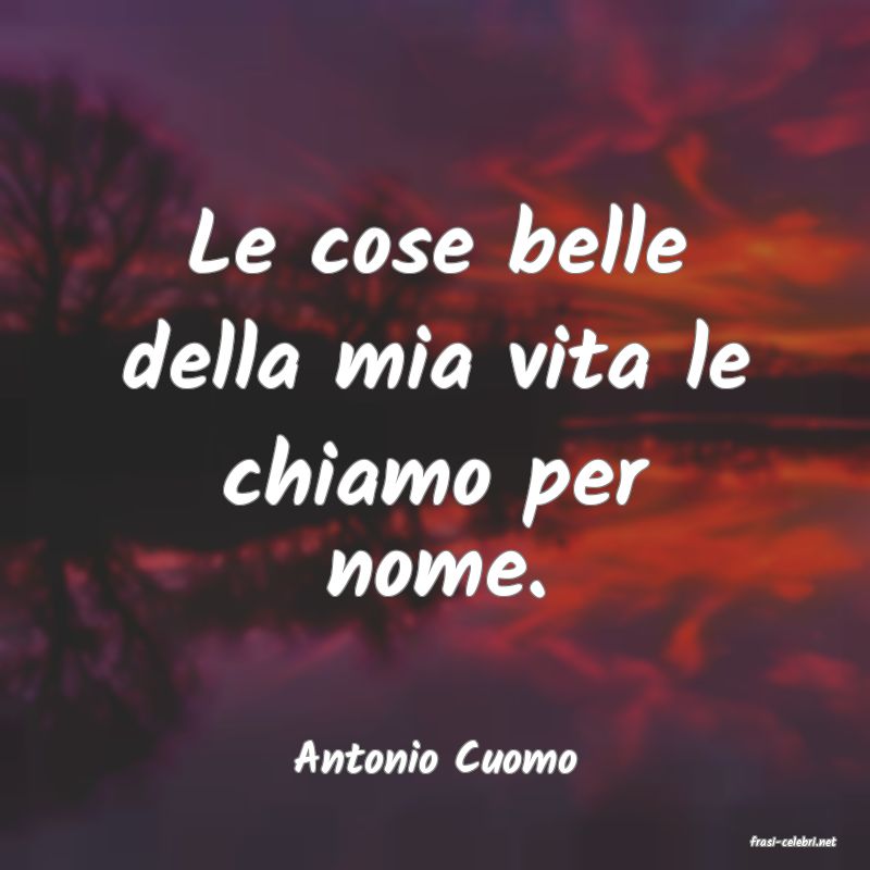 frasi di  Antonio Cuomo
