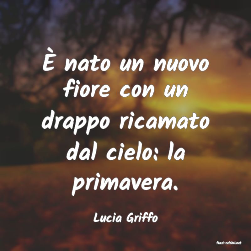 frasi di  Lucia Griffo
