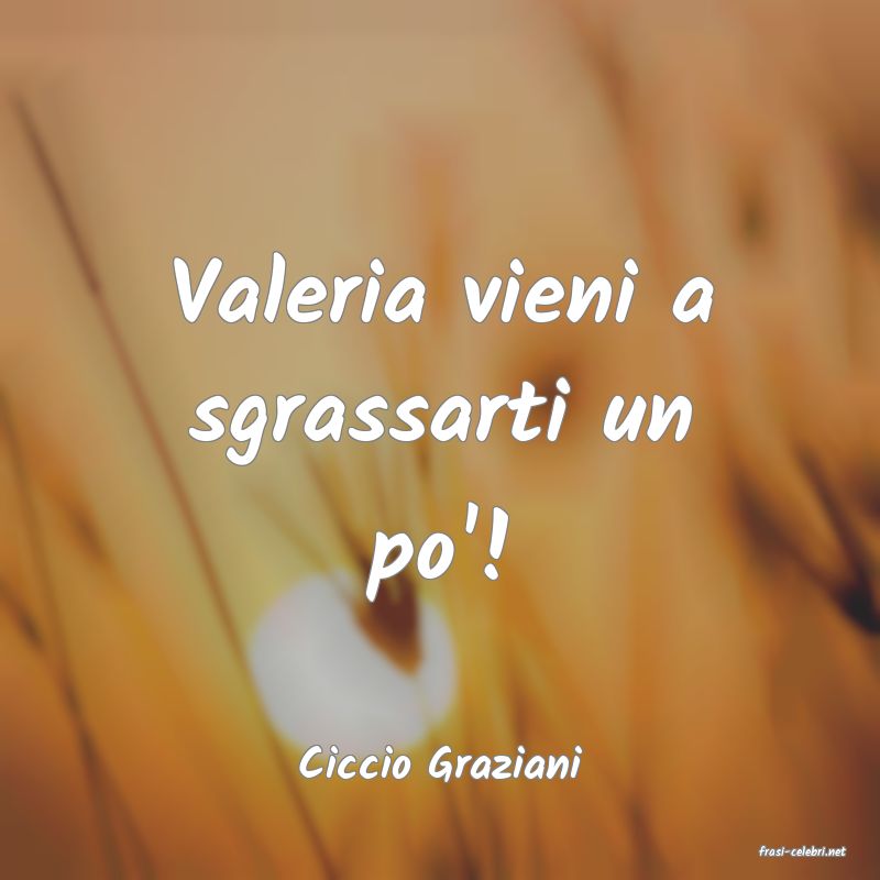 frasi di  Ciccio Graziani
