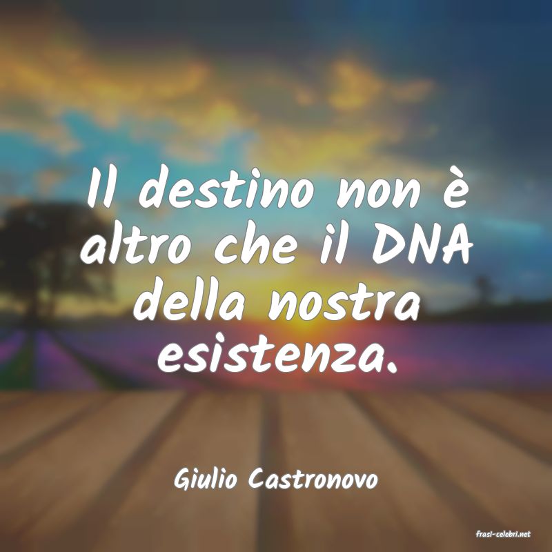 frasi di  Giulio Castronovo
