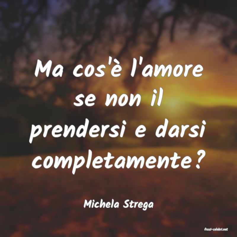 frasi di  Michela Strega
