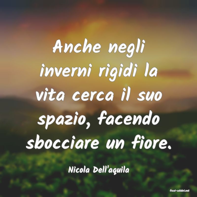 frasi di  Nicola Dell'aquila
